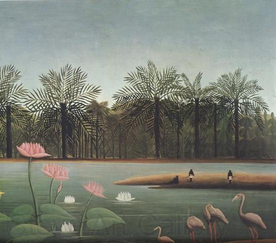 Henri Rousseau The Flamingos France oil painting art